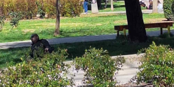 Mostarski portal obajavio fotografiju sindikalnog vođe na odmaranju u parku u radno vrijeme